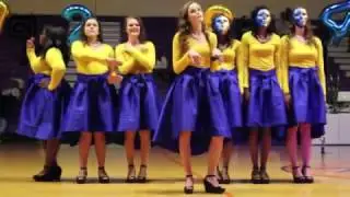 The Golden Girls -2k16 Sigma Gamma Rho.