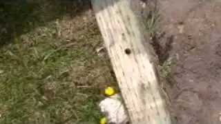 GLASS RANCH-9