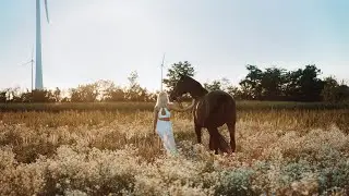 Cinematic Horse Video (BMPCC6K)