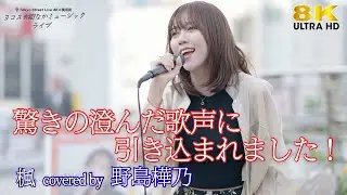 【 歌うま 】驚きの澄んだ歌声に引き込まれました！  楓 / スピッツ（ covered by 野島樺乃 ）横須賀路上ライブ 🎧推奨 高音質 8K映像
