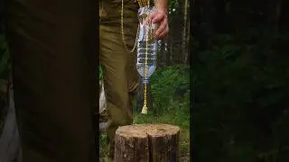 A brilliant IDEA to collect water! #lifehacks #bushcraft #survival #camping