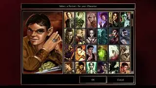 Neverwinter Nights Enhanced Edition gameplay (Switch)