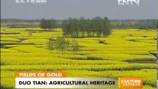 Duo Tian, officially becomes China's agricultural heritage
