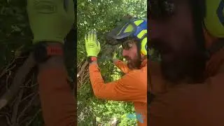 The &ldquo;SNAP CUT&rdquo;: A  Brief Instructional Video.