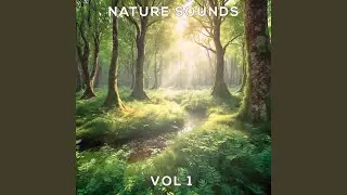 13 Nature Sounds, Vol.1
