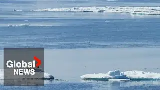 Too late to save arctic sea ice in the summer, study finds