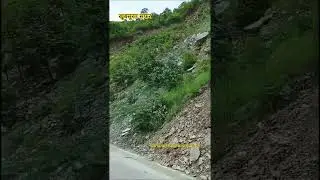 देवभूमि उत्तराखंड ❣️❣️#nature #devbhoomi #song #beautyofnature