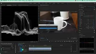 041 Lumetri Scope - Luma Waveform for correcting exposure