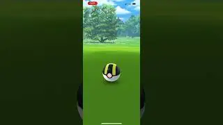 A shiny Muddy Buddy from Wooper Community Day