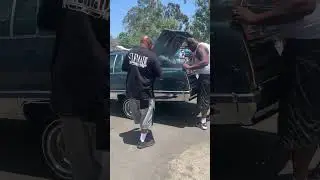 Lowrider Picnic El dorado Park Hosted  By Professional Car Club 💯🔥