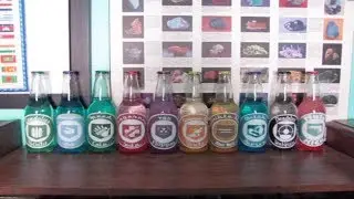 Real Perk Bottles From Black ops zombies