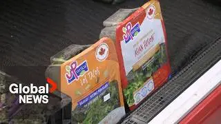 Amid US trade war, local sales are looking 