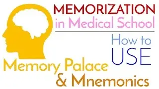 Memorization | Memory Palace and Mnemonics | How to Actually USE Them