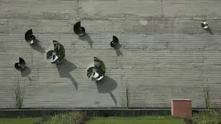 Fossil - Time lapse