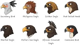 Every Sky PREDATOR Explained in 11 Minutes (PART 2)