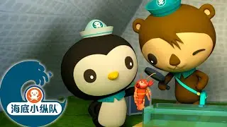 海底小纵队 - 找到治疗方法！| 皮医生找到了治愈外壳腐烂的方法 | 集完整版