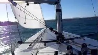11 metre one design sailing