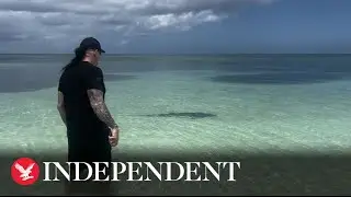 WWE legend The Undertaker steps in to 'scare' shark away from his wife