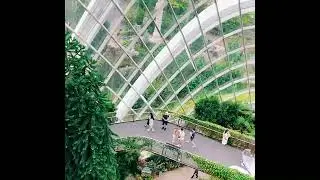 Singapore the City of Merlion the cleanest country of the world. Nature of Singapore is  peaceful(1)