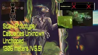 Radiation lover || NEW UNCHIPPED || Scav Prototype/Casualties Unknown (1306m)