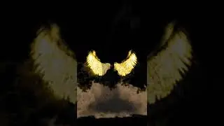 golden wing sunhara Pankh#blackscreen #shorts #shortyoutube #magic #youtubeshorts #short #shortvideo