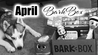 April 2020 BarkBox Unboxing