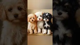 #puppies #pups #dogs #puppiesofinstagram #ai #cuteanimals #cutepuppies #aipuppies