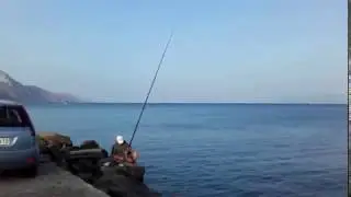 Kos, Kardamena...
