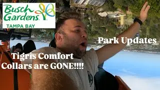 Tigris Comfort Collars are GONE!!! + Park Updates | Busch Gardens Tampa Vlog December 2025