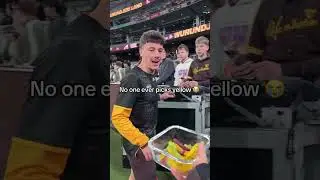 I feel bad for the yellow snakes 😭 #lollies #candy #afl #football