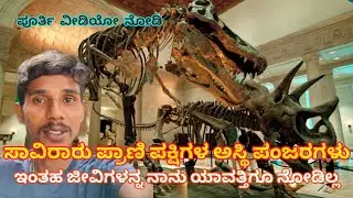 ನನಗಂತು ಈ ಜಾಗಕ್ಕೆ ಹೋಗಿ mind blowing ಹಾಗೋಯ್ತು ಅದ್ಭುತವಾದ natural history museum |