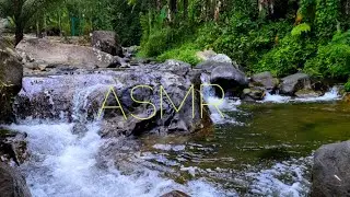 Pure River Sound for Deep Relaxation | Peaceful Nature ASMR