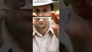 Why You Should STOP Using This Banjo Bridge