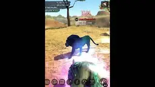 The Wolf lion champion🏆 futured map