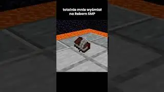 TOTALNIE MNIE WYŚMIAŁ na REBORN SMP!