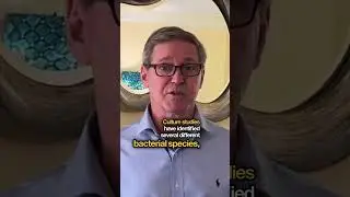 Понимание синдрома избыточного бактериального роста в тонком кишечнике: подробный анализ синдрома...