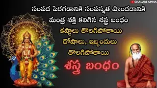 Listen 27 Times Powerful Shastra Bandham Mantra for Wealth & Prosperity | Remove Obstacles & Doshas