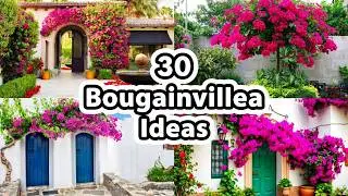 Perfect for Busy People 👍🌿| Bougainvillea Garden Ideas 🌸| Colorful & Easy