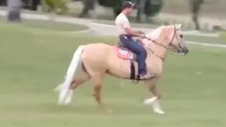 FATOR DA CAVARU RETA - Cobertura