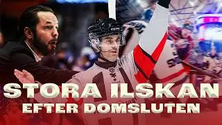 Domarattackerna efter torsdagen | K&ouml;rde &ouml;ver Djurg&aring;rden | Storbr&aring;ket efter heta Sk&aring;ne-derbyt