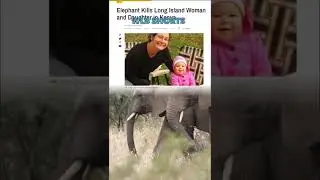 American Mom, Baby Killed by Elephant in Kenya