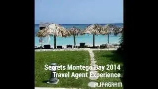 2014 Paycation Travel Agent Experience - As an insider! - JAMAICA 2014