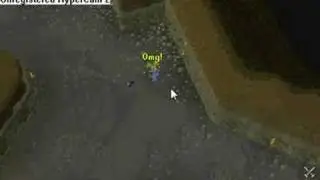 runescape rune full helm from a rat!