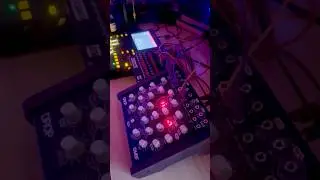 MPC One driving the DROP ⚡️ Trigger, VCA, and Noise modulation #msfdrop #modularsynth #akaimpc