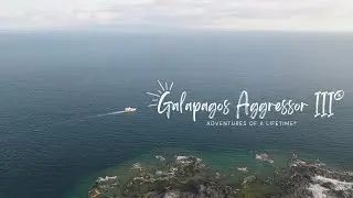 Galapagos Aggressor III | Adventures of a Lifetime | 2025