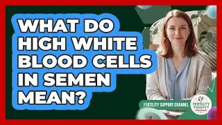 What Do High White Blood Cells In Semen Mean?
