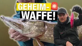Pimp deinen K&ouml;derfisch!🎨 Mit FARBE auf Deadbait-Hechte
