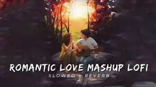 Midnight Love Vibes 💕 | Romantic Lofi Love Song | Chill & Dreamy | #ddlofimashup