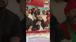 Najeeb Sultan Bahoo #najeebsultanbahoo #sultanbahoo #shorts #video #haqbahoo #haqbahoomedia