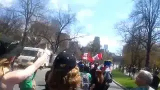 17th annual Toronto Global Marijuana March - May 2015